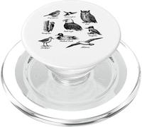 Vintage Birds Campo Guía Ilustración Naturalista Birders PopSockets PopGrip para MagSafe