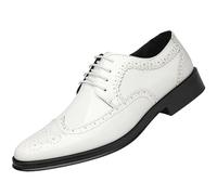 Vintage Dress Formal Shoes for Men Synthetic Leather Lace-up Pointed Toe Block Heel Classic Business(White,40 EU)
