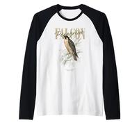 Vintage Halcón Peregrino Aves Arte Naturaleza Observación Camiseta Manga Raglan