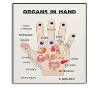 Vintage Herbal Medicine Poster Chinese Organ and Meridian Chart Canvas Wall Art Educational Health Knowledge Decor(Unframed,08x12inch(20x30cm))