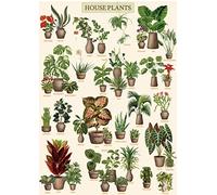 Vintage Houseplant Puzzle 1000 Pieces for Adult, Botany Succulent House Plant Puzzle, 39 Common Indoor Plants Jigsaw Puzzles