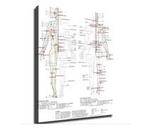 Vintage Human Body Meridian Chart Acupuncture Acupoint Anatomy Canvas Wall-Art Print for Home Office Decor(Unframed,08x12inch(20x30cm))
