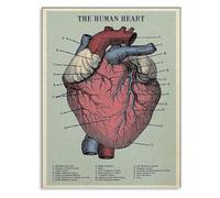 Vintage Human Heart Anatomy Poster for Medical Education and Retro Wall Art Decor(Framed,08x12inch(20x30cm))
