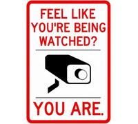 Vintage Metal Sign Big Brother Is Watching Plaque 8 X 12 in