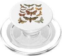 Vintage Moth Cottagecore Aesthetic Goblincore Dark Academia PopSockets PopGrip para MagSafe