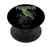 Vintage Pacific Parrotlet Observación de Aves Naturaleza Amor Pájaros PopSockets PopGrip Adhesivo