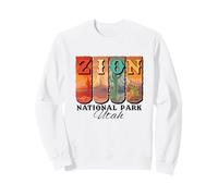 Vintage Parque Nacional Zion Utah Southwest Desert Souvenir Sudadera