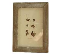 Vintage Photo Holder - Distressed Frame for Artistic Display | Farmhouse Inspired 3x5 Inch Wooden Craft with Classic Appeal & Wall Mount for Bedroom, Studio, Celebration and Hallway