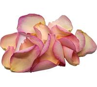 Vintage Pink Rose Petals - by Uncle Roy's - 200g/20Ltr Box