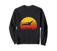 Vintage Pterodactyl Dinosaur Retro Sun Sudadera