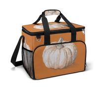 Vintage Sketch of A Pumpkin - Bolsa térmica para camping, enfriadores de playa, portátiles a prueba de fugas, con correa para el hombro