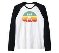 Vintage Sunset UTV ATV Quad 4WD Retro Offroad Overland 4x4 Camiseta Manga Raglan