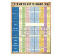 Vintage Tooth Meridian and Organ Chart Dental Knowledge Poster for Office Club or Bathroom Wall Decor(Framed,16x24inch(40x60cm))