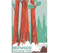 Vintage Viaje Póster Redwood National Park Retro Pared Arte Lienzo Póster Arte Imprimir Habitación Decoración Hogar Decoración Sin Marco 40x60cm