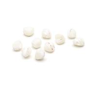 Vintageparts - Juego de 10 cuentas de concha de 7 a 9,5 mm, color blanco natural