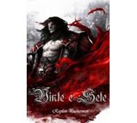 Vinte E Sete (ebook)