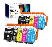 Vintella 202XL Cartuchos de Tinta Compatible con Epson 202XL 202 XL Multipack Epson XP-6000 XP-6005 XP-6100 XP-6105 XP6000 XP6005 XP6100 XP6105 (2 Foto Negro, 2 Negro, 2 Cian, 2 Magenta, 2 Amarillo)