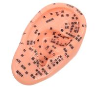 VINTORKY Modelo De Acupuntura De Oído Para Masaje Herramienta De Reflexología Ergonómica De Suministros De Acupresión Para Práctica Casa y Laboratorio Ear Massage Acupoint Display