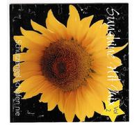 Viola - Sunshine Hit Mix Vol. 2