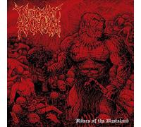 Violent Hammer - Riders Of The Wasteland [Vinilo]