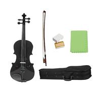 Violín 4/4 Violín Acústico Negro De Tamaño Completo Con Arco De Estuche Para Instrumentos De Cuerda Para Principiantes De Violín