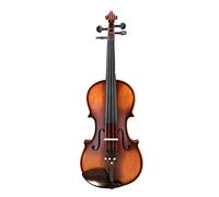 Violin Acústico, Conjunto de violín, For principiantes con carcasa dura, reposabrazos, colofonia y cuerdas de puente adicionales(1/4)