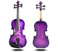 Violin Acústico, Conjunto de violín, For principiantes con carcasa dura, reposabrazos, colofonia y cuerdas de puente adicionales(1/4)