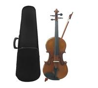 Violín Acústico Eléctrico 4/4, Cuerpo De Arce, Violín Acústico Con Estuche, Cuerdas Para Arco, Reposabrazos, Tela Sintonizadora (Color : Violin Set 1)