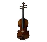 Violín Adulto De Rendimiento Hecho A Mano De Madera De Grano De Serpiente 4/4 3/4 1/2 1/4 1/8 1/10 Instrumento De Violín De Tamaño (Color : 1/10)