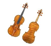 Violín con conchas de colores talladas y patrón de tablero único Violín acústico