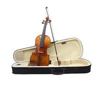 Violín De Madera De Azufaifo Tamaño Completo 4/4 3/4 1/2 Violín Acústico Accesorios Para Instrumentos De Música Violín Con Arco De Caja (Color : Violin 4-4 Set)