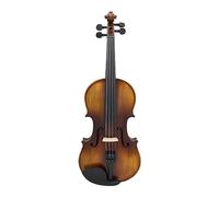 Violín De Madera Maciza Principiante Adulto Rendimiento Profesional Violín Mate Violín 4/4