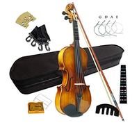 Violín de tamaño Completo, Conjunto de violín distintivo diseñado for principiantes/estudiantes/niños con estuche duro, arco, colofonia, cadenas adicionales (4/4/tamaño completo)