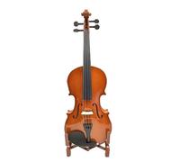 Violín Electroacústico De Madera Maciza Brillante Para Estudiantes Principiantes Y Adultos Grado De Prueba Para Tocar Violín (Color : 01)