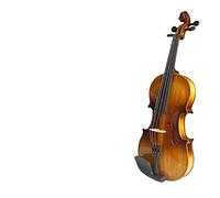Violín en Miniatura, Modelo de Violín, Juego diseñado for principiantes/estudiantes/niños con estuche rígido, arco, colofonia y cuerdas adicionales