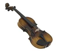 Violín Instrumento de cuerda de violín brillante 4/4, violín acústico clásico con estuche, juego de Accesorios para Instrumentos Musicales