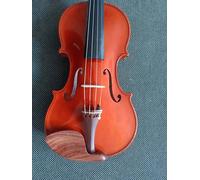 Violín Para Principiantes Hermoso Violín Tocando Profesionalmente
