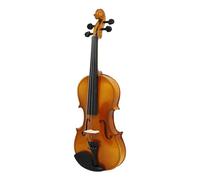Violín para principiantes, tamaño completo, práctico, tradicional, música, escuela, práctico, hecho a mano