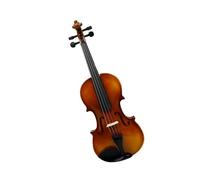 Violín para principiantes Violín clásico ligero 4/4 de madera maciza accesorios para instrumentos de cuerda(Type 1)