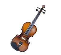 Violín Para Principiantes Violín Nature Spruce Wood 4/4 Arce