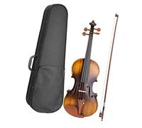 violín para principiantes Violín Profesional Electroacústico Mate 4/4 Con Accesorios De Madera De Jujube Estuche Arco Cuerdas Adicionales Violín Instrumento musical