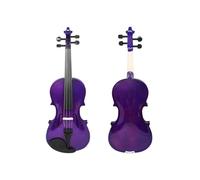 Violín Principiante Violín Morado 4/4 Presente Curso De Música Adecuado Estudio Con Piezas Prácticas Violín Principiante Profesional(Set1)