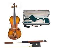 Violín Profesional 4/4 Violín Hecho A Mano Instrumentos Musicales Madera (Color : 05)