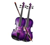violín profesional Los Principiantes Del Violín Morado Practican El Violín Para El Examen De Grado (Color : 1/4)