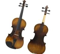 violín profesional Violín 4/4 Barniz Popularizar Violín Para Principiantes Estudiante Instrumento Violín (Color : Violin Set)