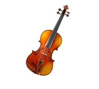 Violín Prueba de práctica de violín para adultos y juego de violín para principiantes (Color : 1/2)