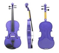 Violín Violín 4/4 Apto Para Principiantes Incluye Estuche Arco Cuerdas Afinador Sordina Puentes Y Accesorios(Type1)