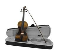Violín Violín acústico 4/4 con estuche de arco instrumento de cuerda Retro cuerpo de arce brillante violín principiante