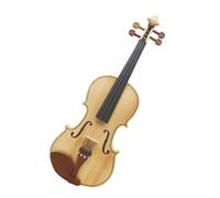 Violín Violín acústico 4/4, Panel de arce de Color madera, con estuche, cuerdas para arco, reposabrazos, tela sintonizadora (Color : Set 1)