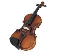 Violín Violín acústico profesional 4/4, violín de arce, estilo Vintage, con estuche, arco para principiantes (Color : 1/2)